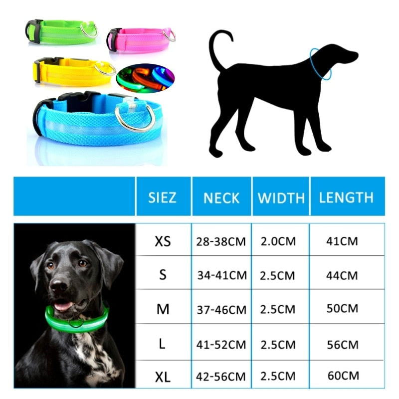 Led Hundehalsband USB